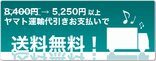 5,250�߰ʾ�����̵����